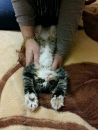 Вера Акулова