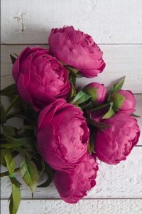 Ирина Акимова