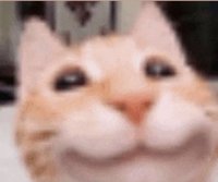 Даша Мельник