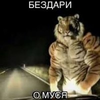 Кирилл Латышов