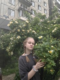 Света Дмитриева