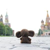 Ирина Гребенчук