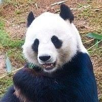 Морозов Павел