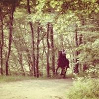 Дарья Балдина