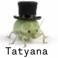 Татьяна Маринина
