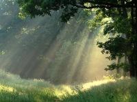 Анна Бускина