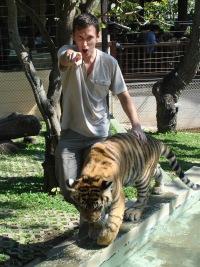 Алексей Дворцов