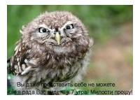 Яна Гордеева