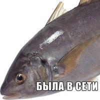 Сергей Иванов