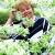Елена Румянцева