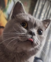 Юлия Беляева