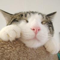 Наталья Ганская