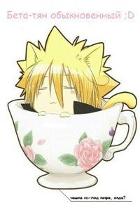 Алла Чудова