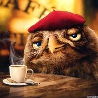 Алексей Посадский