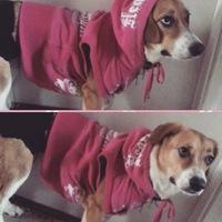 Илона Рибак