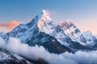 Илья Балашов