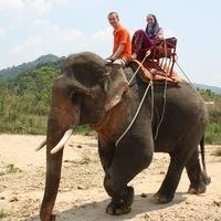 Максим Кожевников