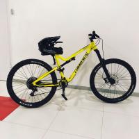 Александр Саенко