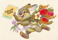 Дарья Жеребцова