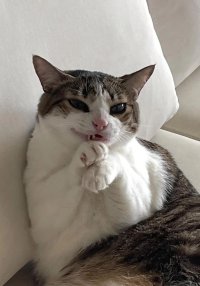 Дмитрий Суслов
