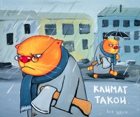 Илья Жвакин