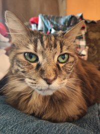 Ольга Смирнова