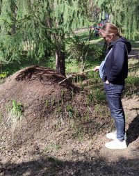 Ксения Виноградова