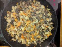 Платон Лудзский