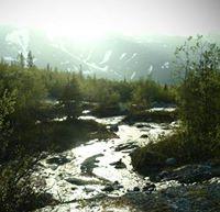 Ника Зиангирова