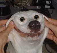 Лёша Смугалёв