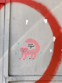 Анастасия Демина