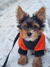 Ольга Кузнецова