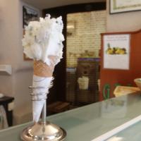 Эльвира Зелёнкина