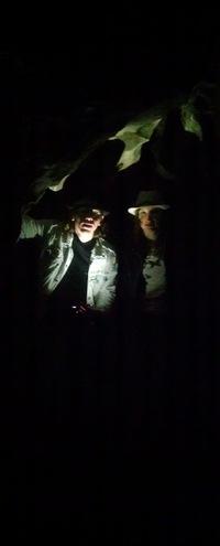 Дарья Типикина