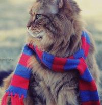 Юрий Назаров