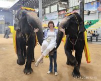 Марина Хмель