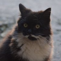 Куданов Ярослав