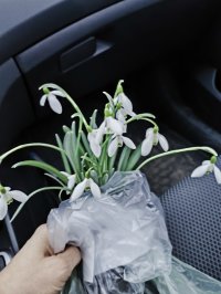 Любовь Чайкина