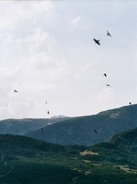 Михаил Веселинов