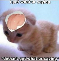 Анастасия Швец