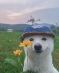 Ольга Гогина