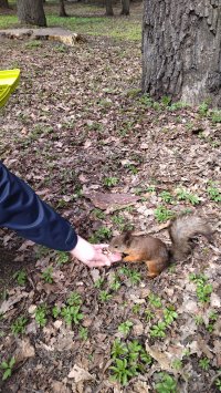 Владимир Видавский