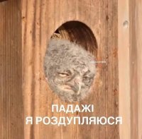 Маргарита Остроумова-Беженарь