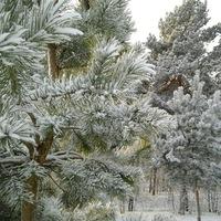 Валерия Николаева