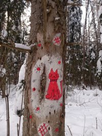 Юлия Степина