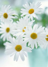 test test