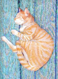 Светлана Громова