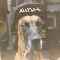 Дима Собака