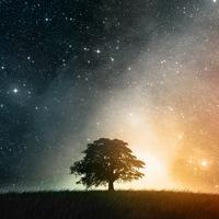 Винсэнт Сэйги