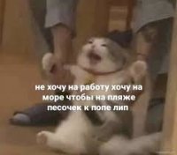 Анастасия Фролова